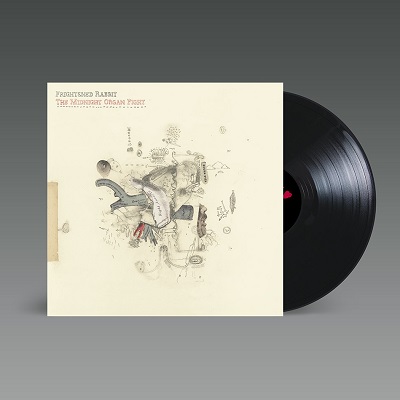 Frightened Rabbit The Midnight Organ Fight 2022 Reissue Vinyl Lp